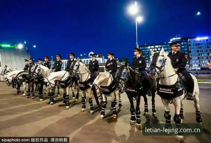 世界杯安保策略调整完整解读：从英国警员人数变化看国际赛事管理新趋势